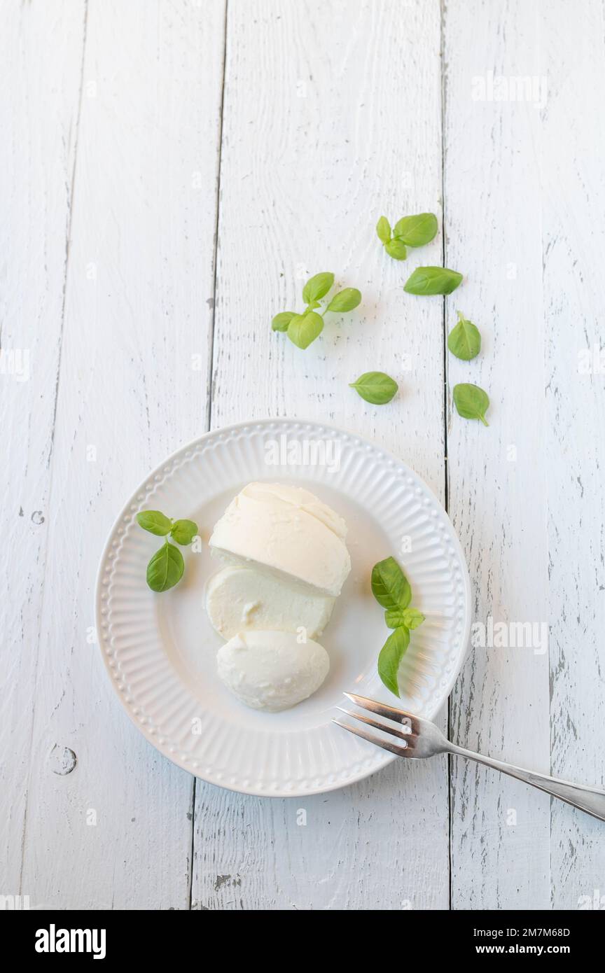 Mozzarella-Käse mit Basilikumblättern auf einem Teller, isoliert auf weißem Tischhintergrund mit Platz für Text. Stockfoto