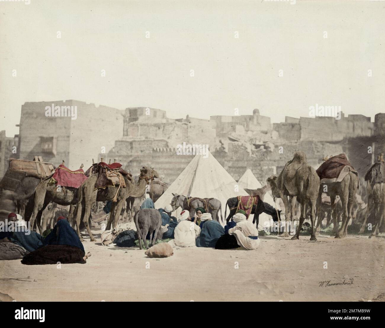 Wilhelm Hammerschmidt Studio: Jahrgang 19. c. Foto - Kamelkarawanlager, Kairo, Ägypten Stockfoto
