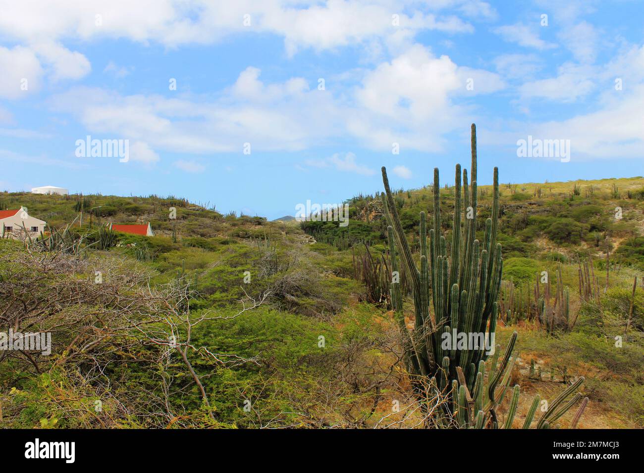 Ein Haus in der Wüste, Aruba Stockfoto