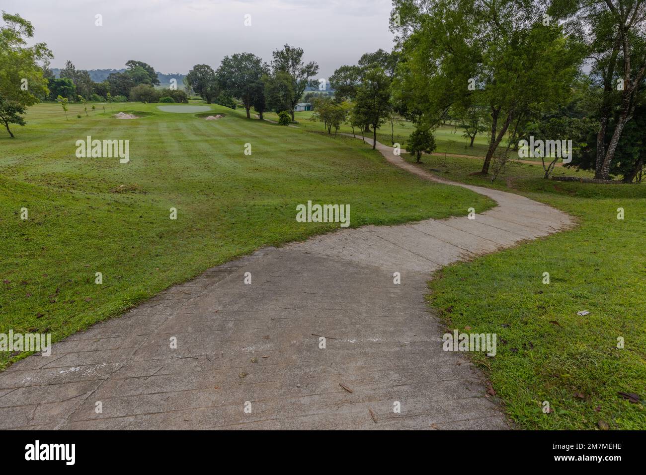 Coorg Golf Links, Virajpet (Coorg, Karnataka) Stockfoto