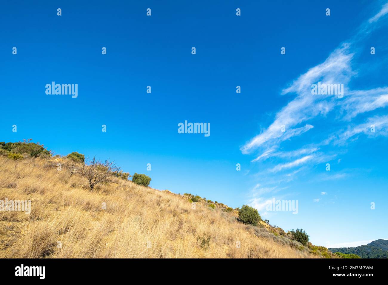 Natürliche Landschaft und blauer Himmel mit Wolken Stockfoto