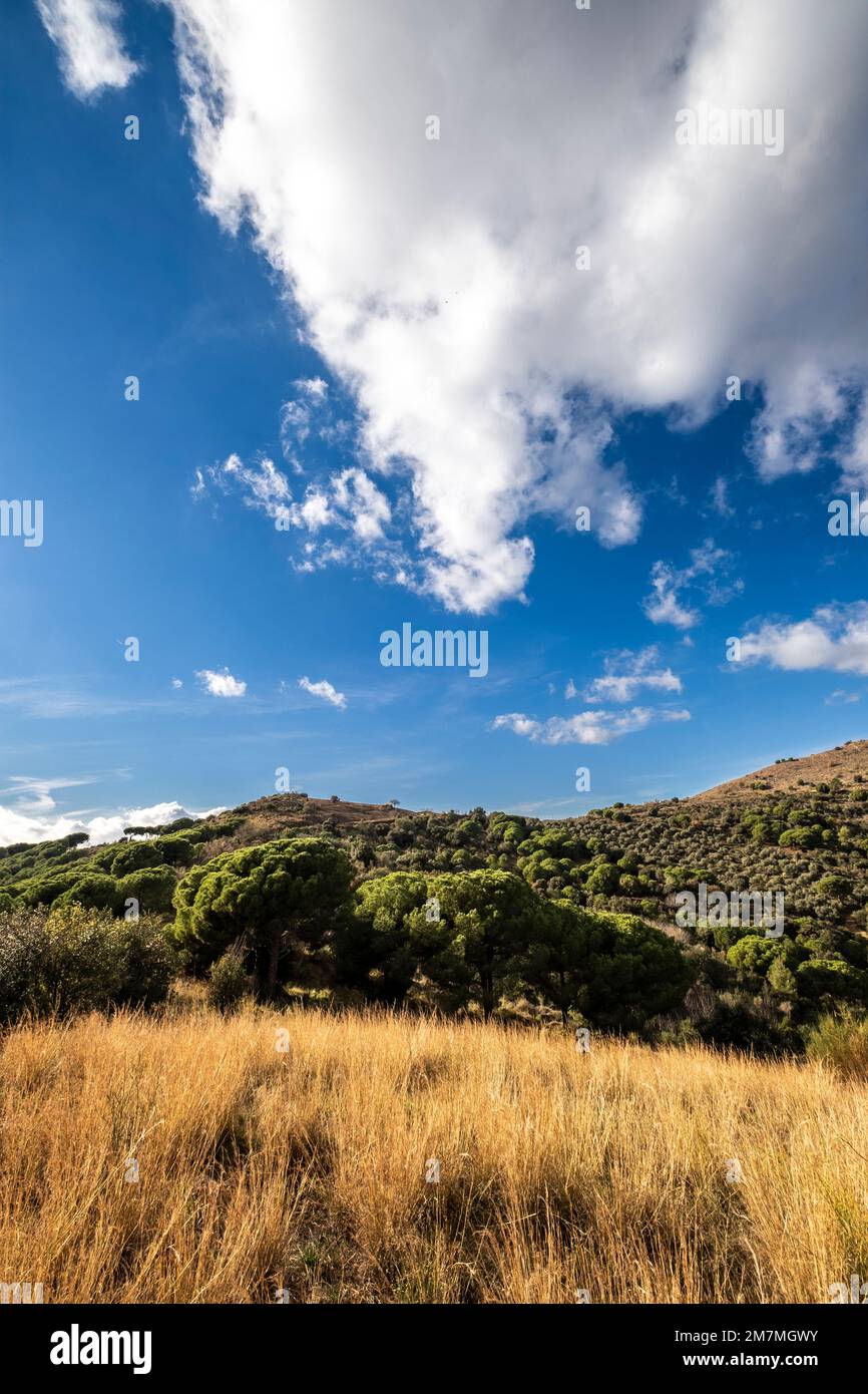 Natürliche Landschaft und blauer Himmel mit Wolken Stockfoto