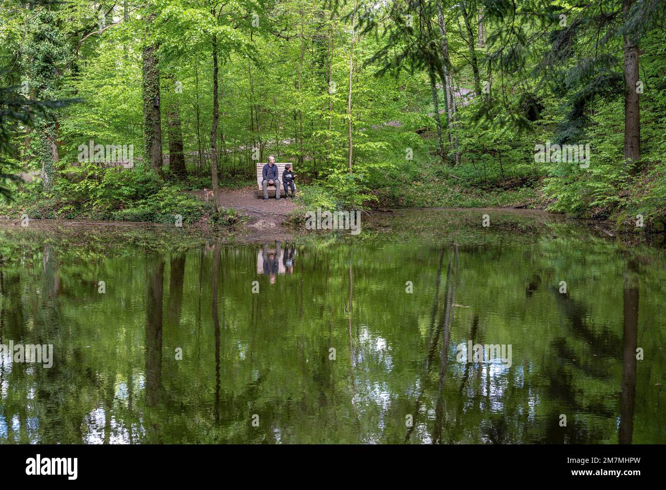 Europa, Deutschland, Süddeutschland, Baden-Württemberg, Bezirk Rems-Murr, Schwäbisch-fränkischer Wald, Mann und Kind sitzen auf einer Holzliege am Römischen See Stockfoto