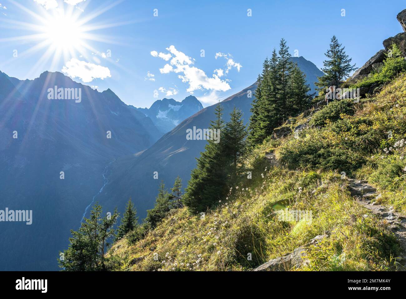 Europa, Österreich, Tirol, Alpen, Östliche Alpen, Ötztal-Alpen, Pitztal, Bergwandern zur Rüsselsheimer-Hütte Stockfoto