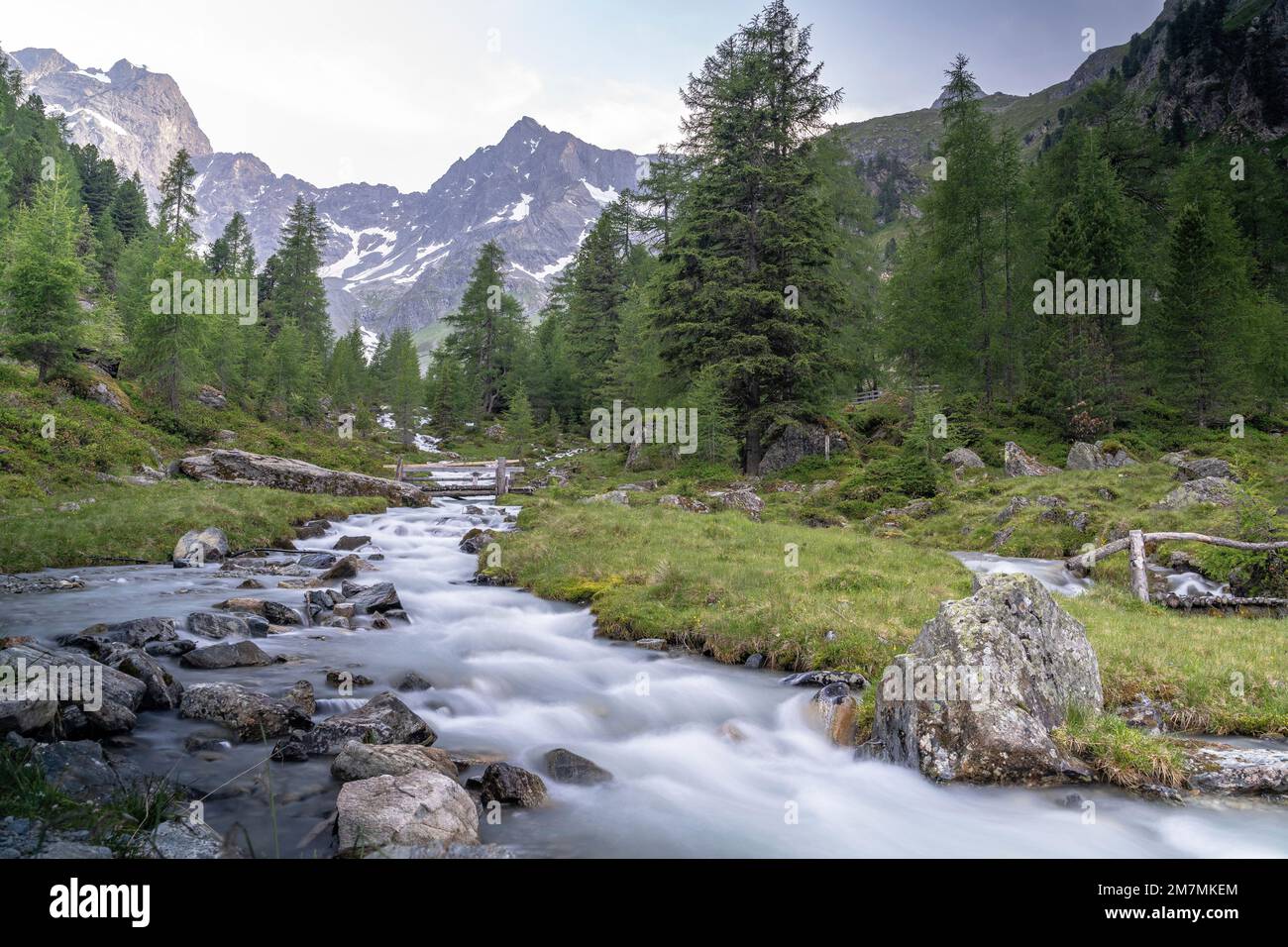 Europa, Österreich, Tirol, Alpen, Östliche Alpen, Ötztal Alps, Pitztal, Gschwandbach auf Tiefentaler Alpe mit Rofelewand und Gsallkopf am Ende des Tals Stockfoto