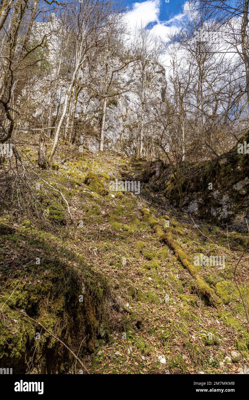 Europa, Deutschland, Süddeutschland, Baden-Württemberg, Donautal, Sigmaringen, Beuron, idyllische Waldlandschaft im Donautal Stockfoto