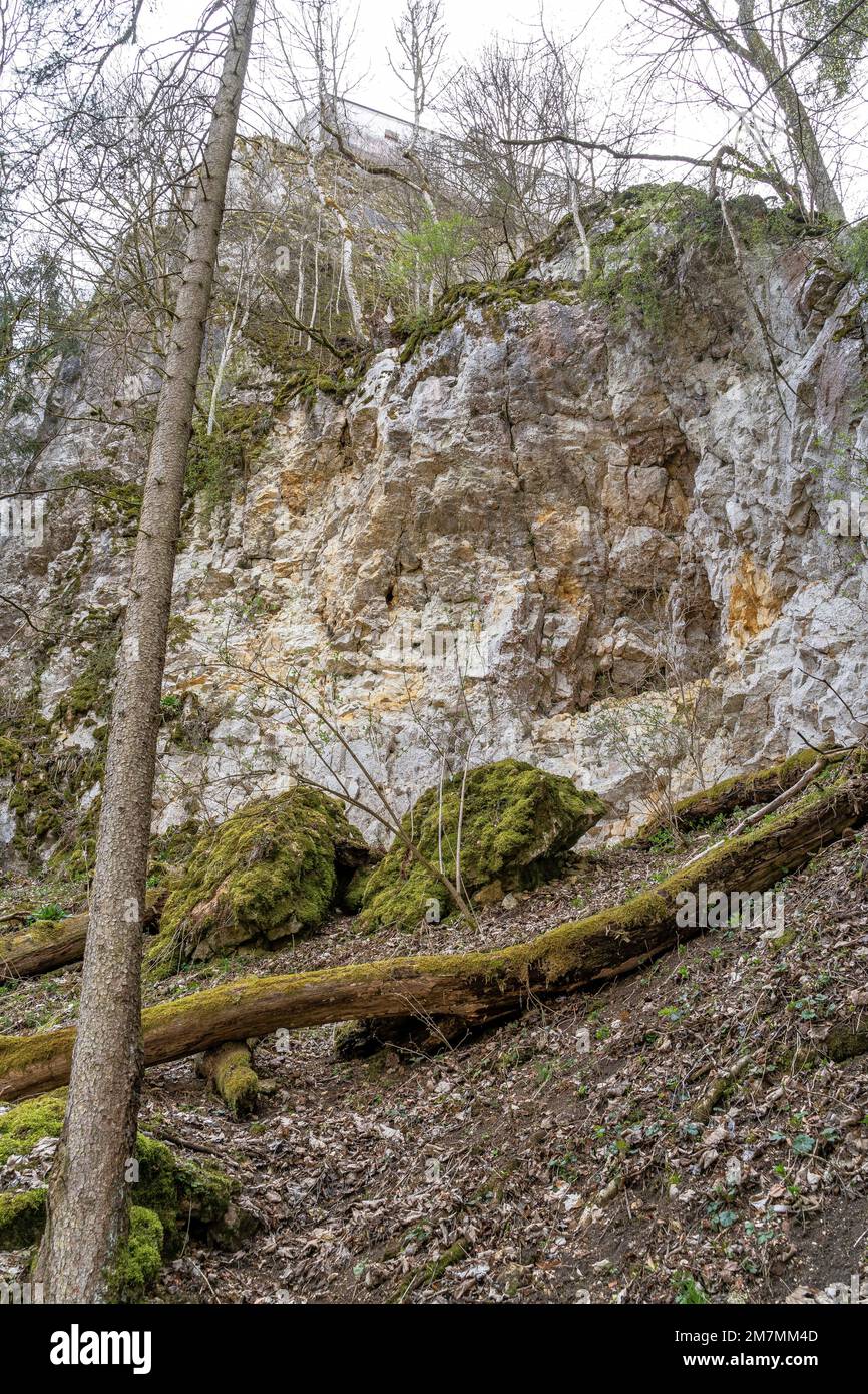 Europa, Deutschland, Süddeutschland, Baden-Württemberg, Donautal, Sigmaringen, Beuron, Felsen im Bergwald unterhalb der Burg Wildenstein Stockfoto