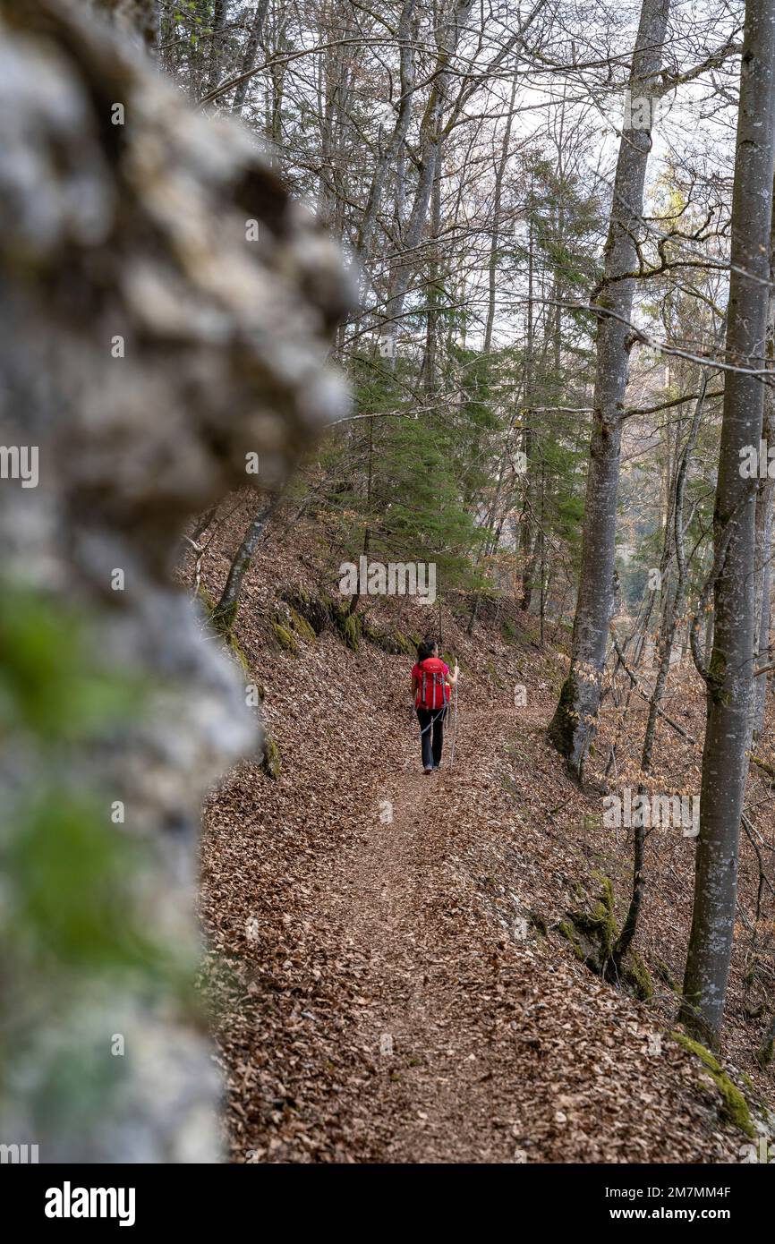 Europa, Deutschland, Süddeutschland, Baden-Württemberg, Donautal, Sigmaringen, Beuron, Frau, die auf einem Waldweg im Donautal läuft Stockfoto