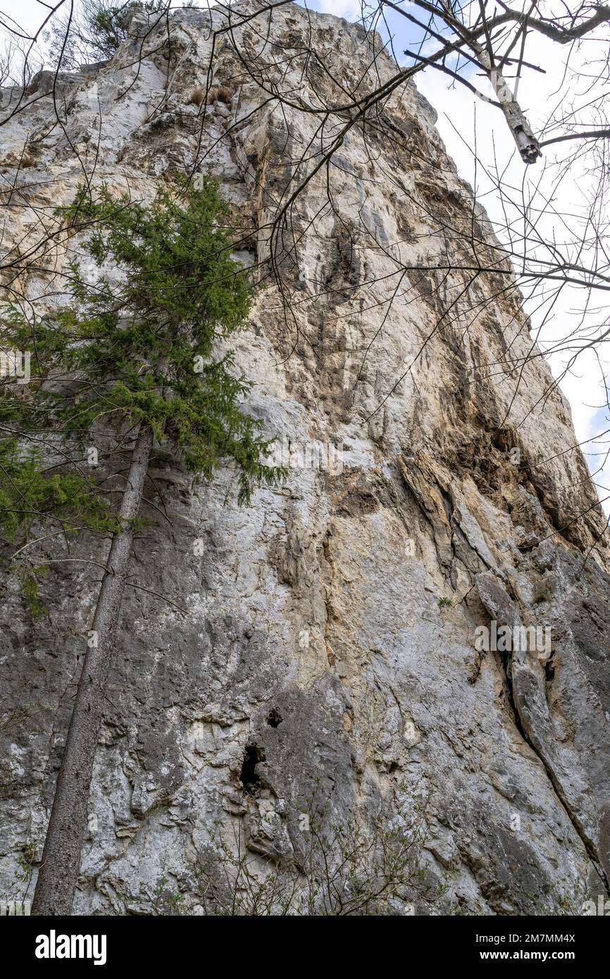 Europa, Deutschland, Süddeutschland, Baden-Württemberg, Donautal, Sigmaringen, Beuron, Mighty Rock Face im Donautal Stockfoto