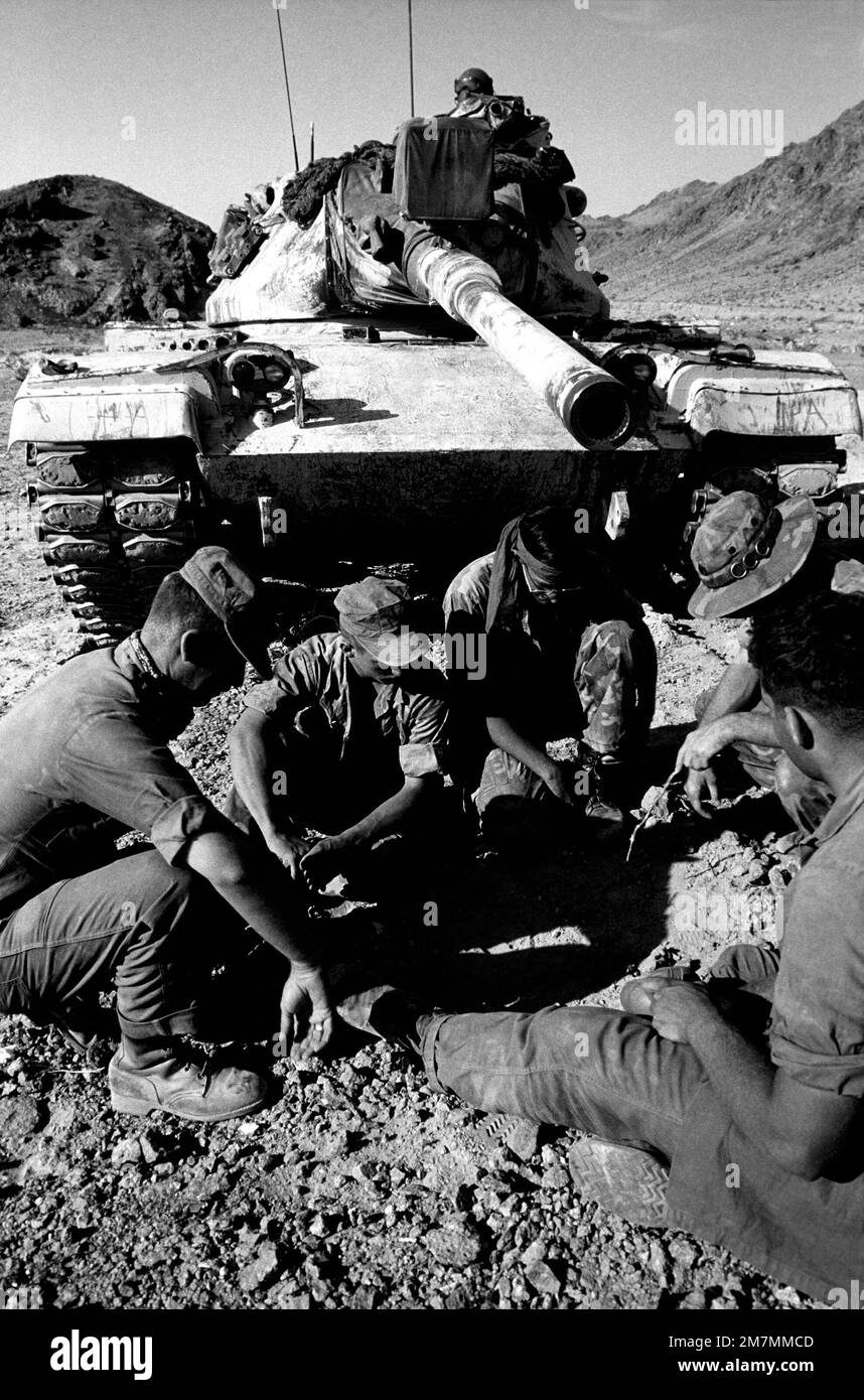 Eine Marine M60 Panzercrew diskutiert ihre Strategie in einer bevorstehenden Panzerschlacht während der Übung MUTIGER SCHILD XVI Betreff Operation/Serie: BRAVE SHIELD XVI Basis: Twentynine Palms Staat: Kalifornien (CA) Land: Vereinigte Staaten von Amerika (USA) Stockfoto