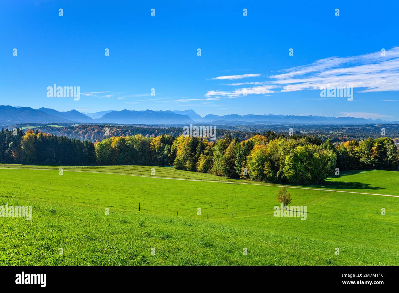 Deutschland, Bayern, Oberbayern, Tölzer Land, Dietramszell, Peretshofen, Peretshofer Höhe, Blick auf die Alpenkette Stockfoto