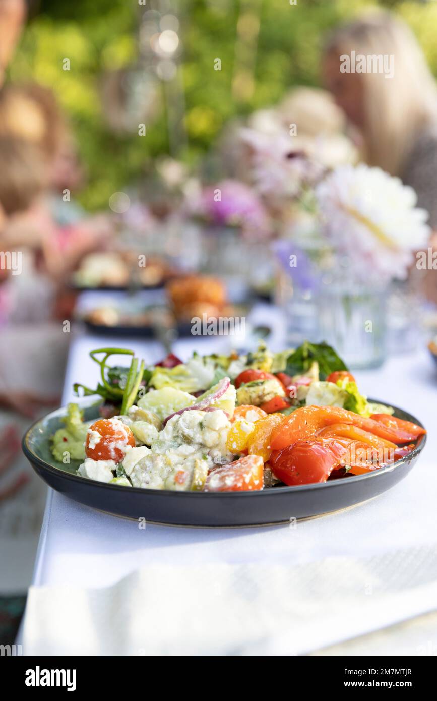 Ein Teller mit vegetarischen Vorspeisen auf einem langen Tisch im Garten Stockfoto