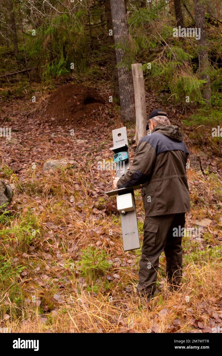 Ein Mann stellt eine Jagdkamera auf, Wald, Herbst Stockfoto