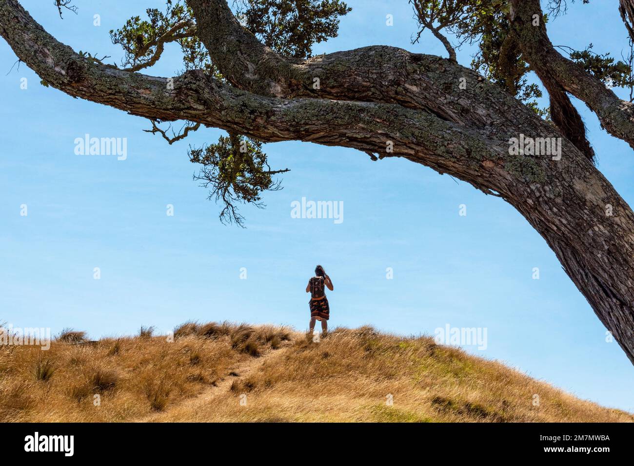 Ein Wanderer, der auf einem Hügel steht, ein schöner Himmel über ihr Stockfoto