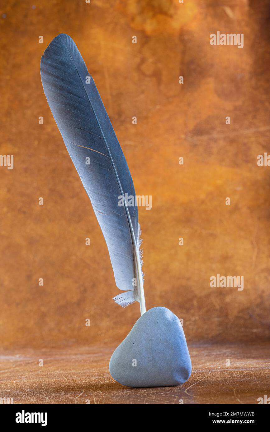 Eine Feder mit herzförmigem Steinflotten, Symbolbild, Stillleben Stockfoto