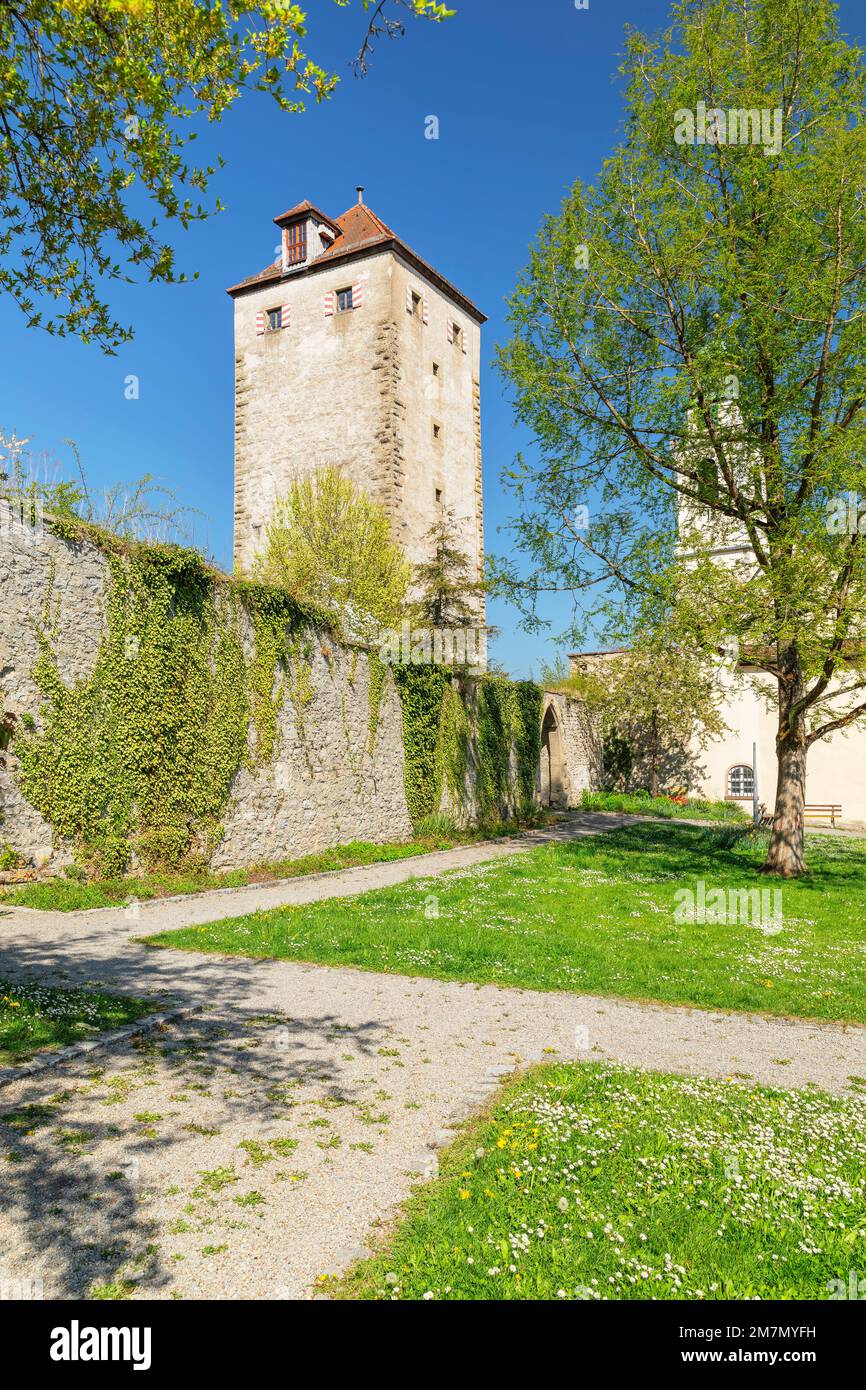 Schurkenturm auf der oberen Feste mit Schlossgarten, Horb am Neckar, Nordschwarzwald, Baden Württemberg, Deutschland Stockfoto