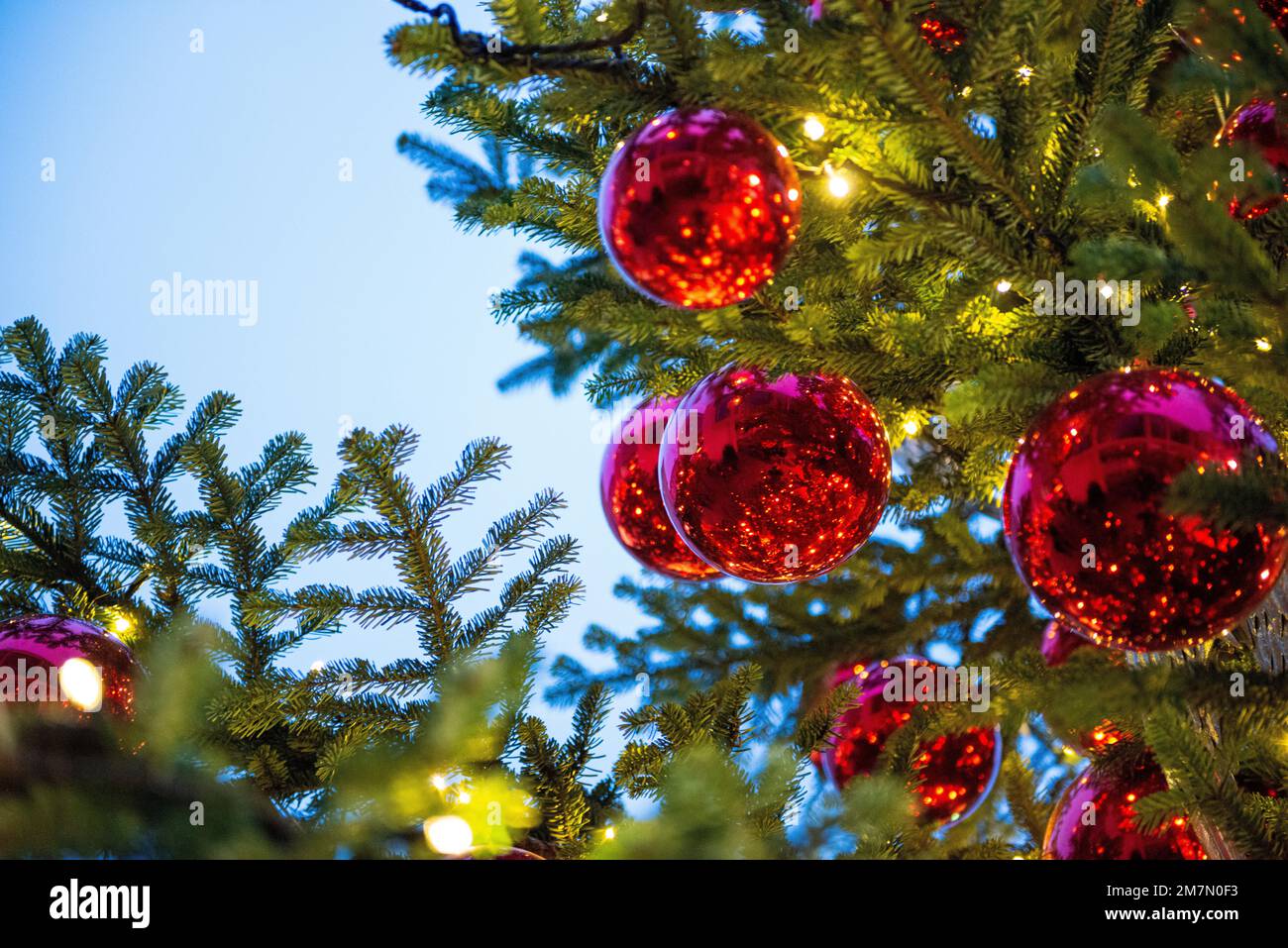 Weihnachtsbälle, rote Weihnachtsbälle auf einem Weihnachtsbaum, Detail Stockfoto