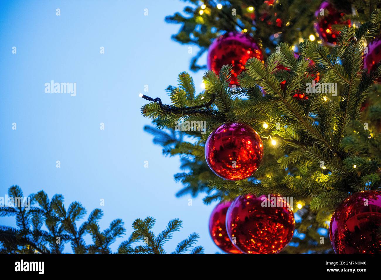 Weihnachtsbälle, rote Weihnachtsbälle auf einem Weihnachtsbaum, Detail Stockfoto