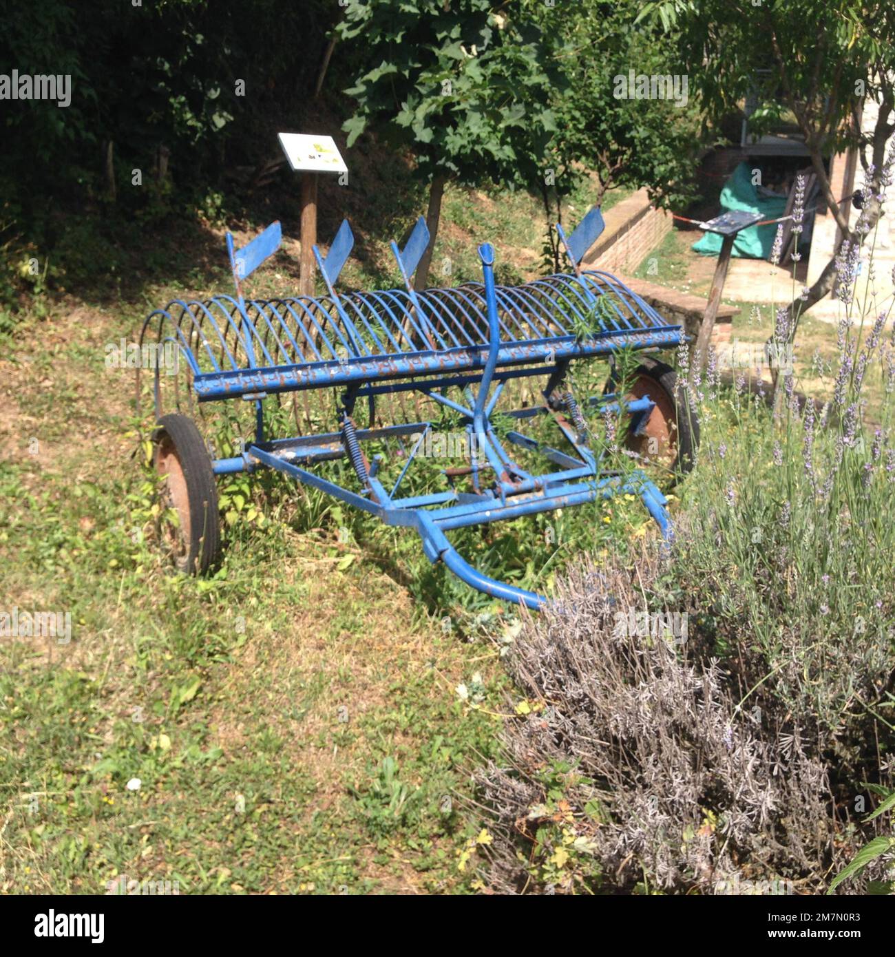 Parco Il Fontanazzo - Fontanazzo Park Stockfoto