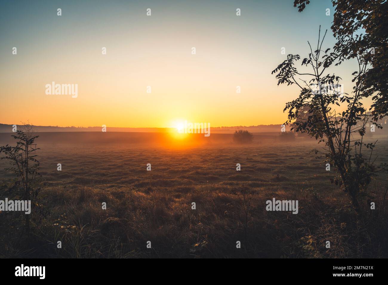 Stimmungsvoller Sonnenaufgang im Stadtteil Kassel, Erdnebel, Blick über das Feld zum Horizont Stockfoto