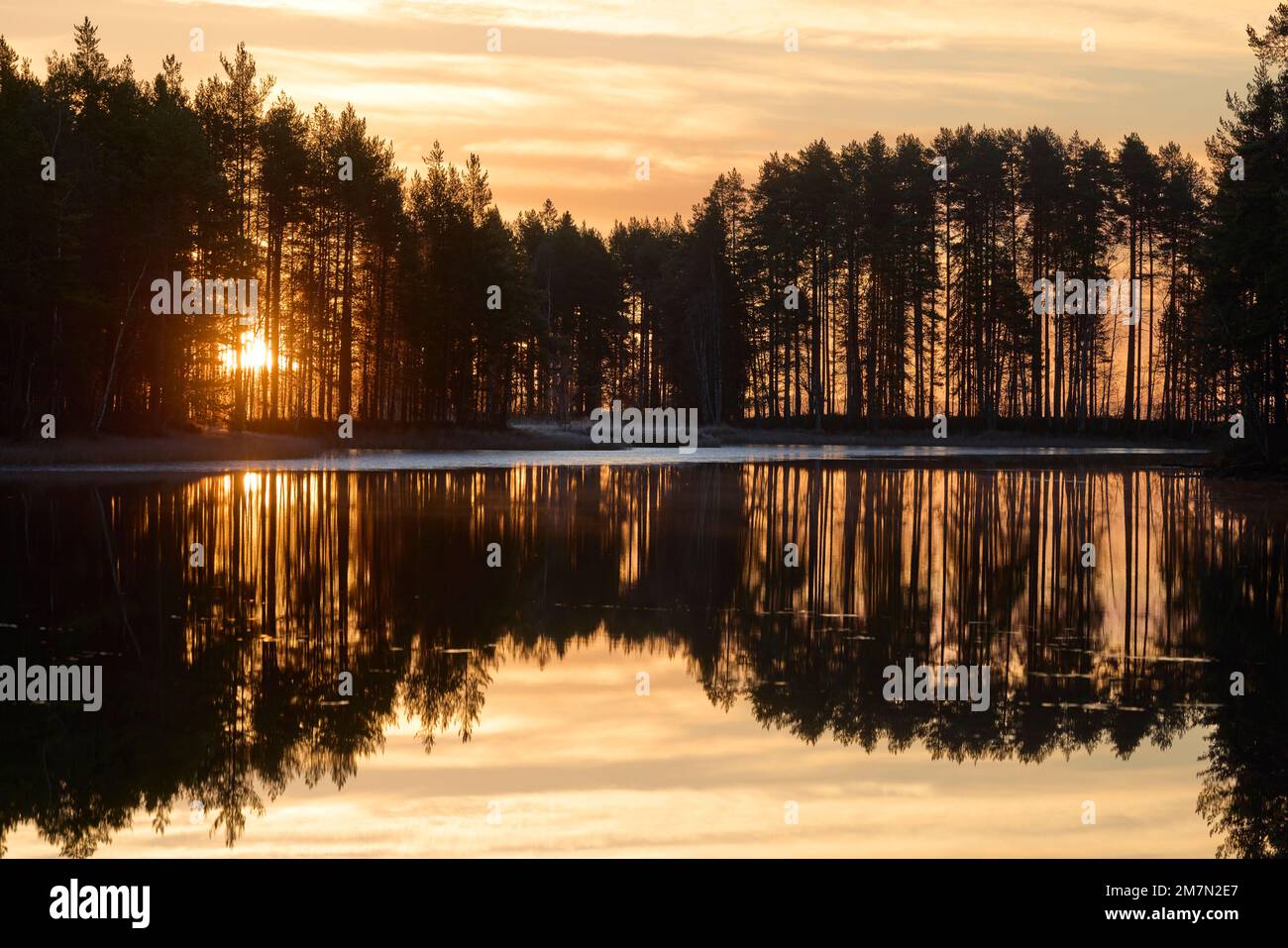 Nordeuropa, Skandinavien, Finnland, See, Sonnenaufgang Stockfoto