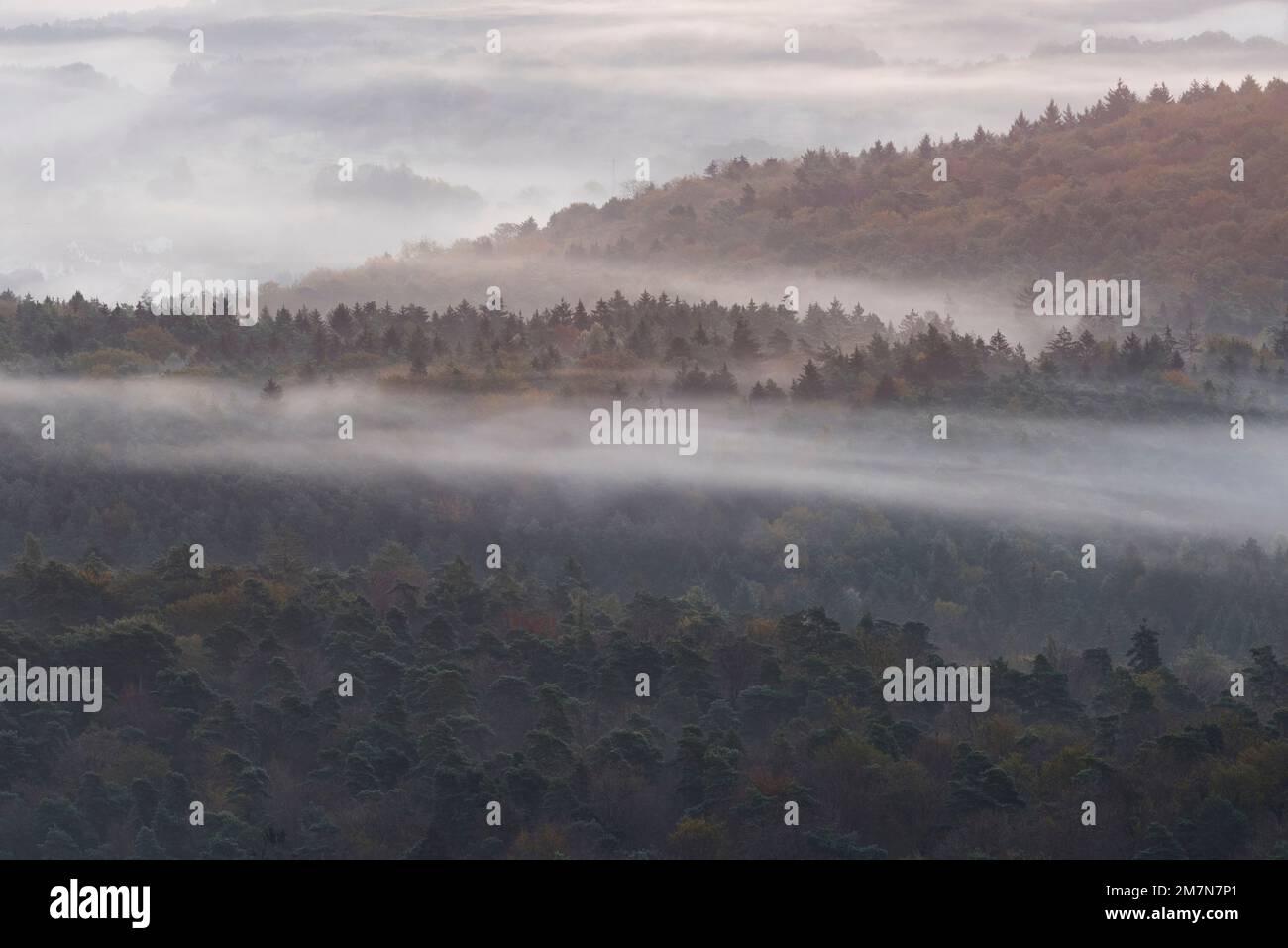 Nebel liegt in den Tälern des Pfalz-Waldes, Morgenlicht, Herbstatmosphäre, Naturpark Pfalz-Wald, Naturwissenschaften Pfalz-Wald-NordVogesen Stockfoto