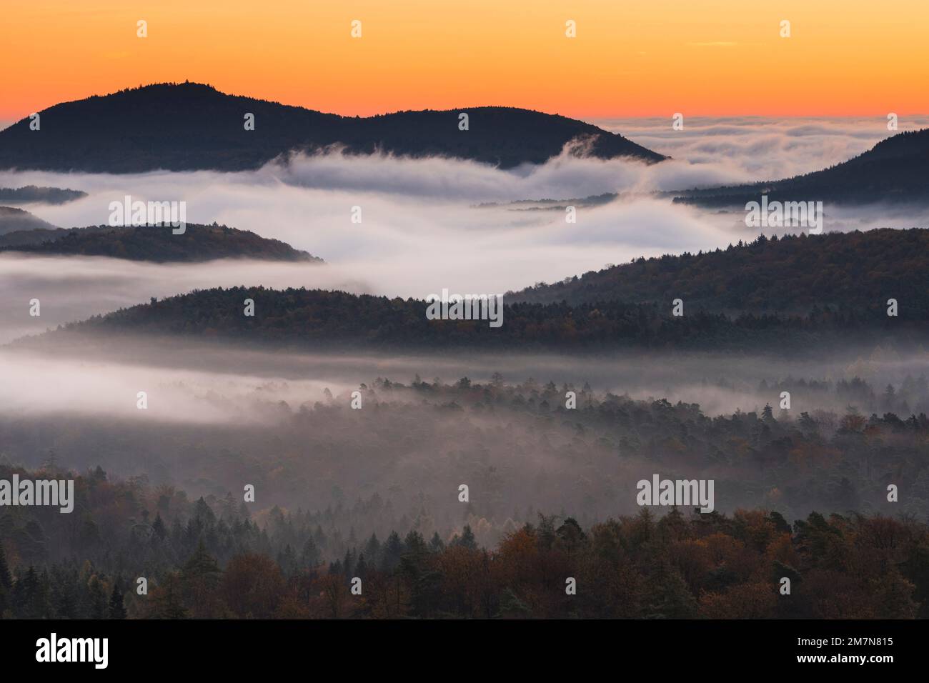 Morgenrot über dem Pfalzwald, Nebel in den Tälern, Herbstatmosphäre im Naturpark Pfalzwald, Naturschutzgebiet Pfalzwald-NordVogesen, Rheinland-Pfalz, Deutschland Stockfoto