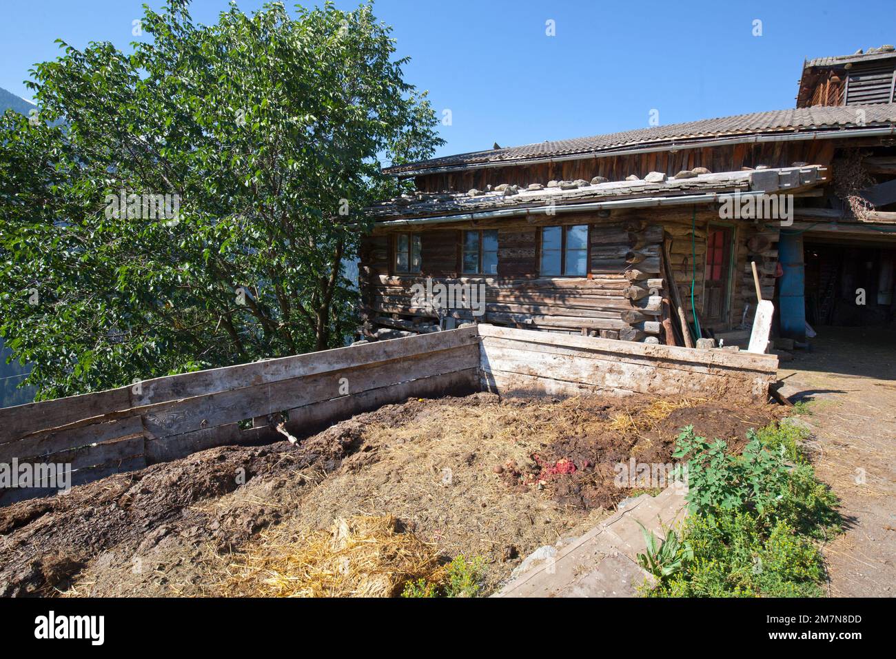 Dunghaufen auf der Südtiroler Farm im Ulten Valley Stockfoto