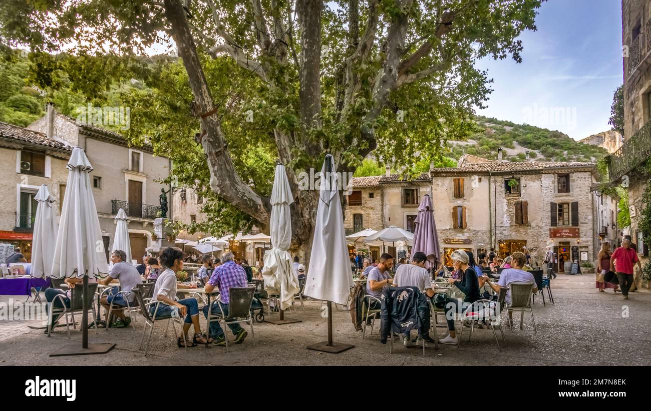 Place de la Liberté in Saint Guilhem le Désert. Der Baum ist mindestens 165 Jahre alt. Das Dorf wurde als UNESCO-Weltkulturerbe „Way of St. James in Frankreich. Das Dorf gehört zu den Plus Beaux-Dörfern von Frankreich. Das Dorf gehört zu den Plus Beaux-Dörfern von Frankreich. Stockfoto