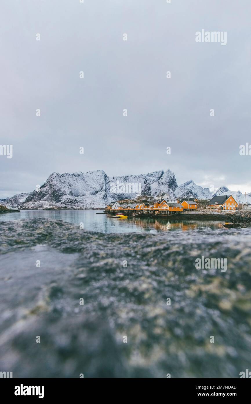 Fischerdorf in reine mit gelben Häusern, Moskenesoya, Lofoten, Nordland, Norwegen Stockfoto