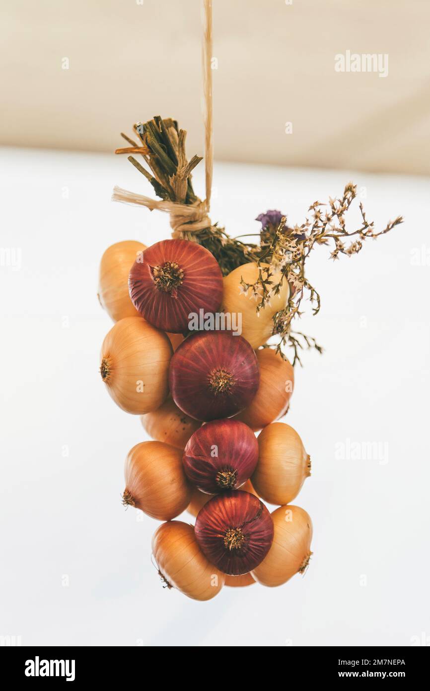 Zwiebelgeflecht an Bastschnur aufhängen, traditionelle Zibelemärit, Zwiebelmarkt in Bern, Schweiz, Nahaufnahme, essbare Zwiebeln (Allium cepa). Stockfoto