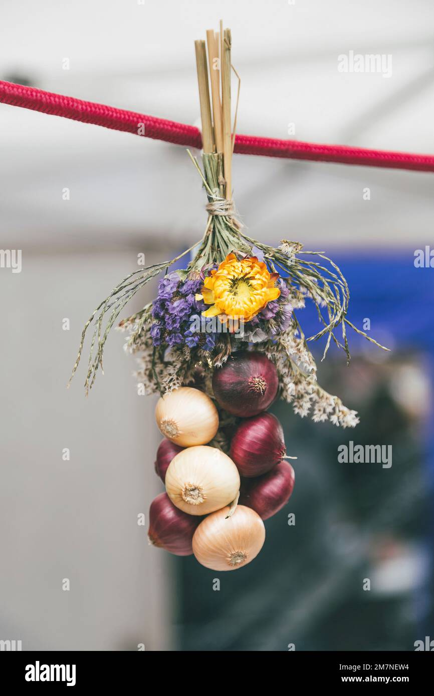 Zwiebelgeflecht an roter Schnur aufhängen, traditionelle Zibelemärit, Zwiebelmarkt in Bern, Schweiz, Speisezwiebeln (Allium cepa), Nahaufnahme, Stockfoto