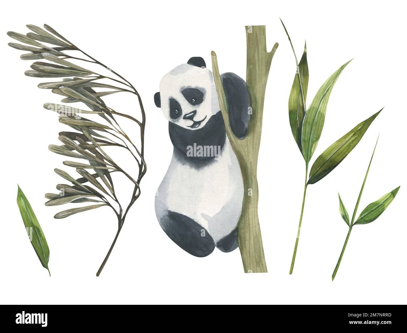 Panda auf Bambus Stockfotografie - Alamy