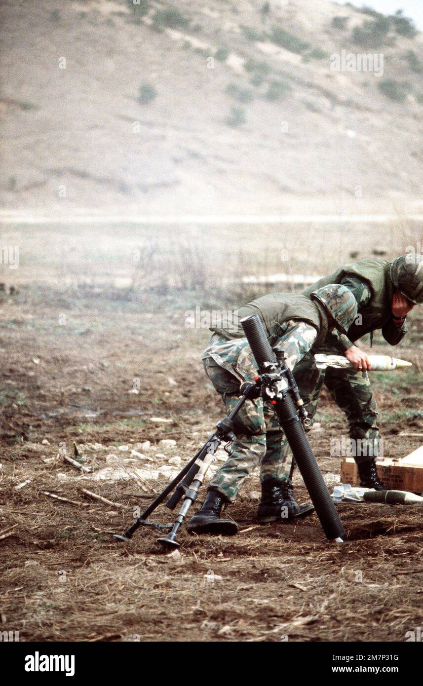 Sicherheitspolizisten wechseln sich ab und werfen Kugeln in einen M-29 81mm-Mörtel während des Schwerwaffentrainings am Rodriquez Range. Land: Südkorea Stockfoto