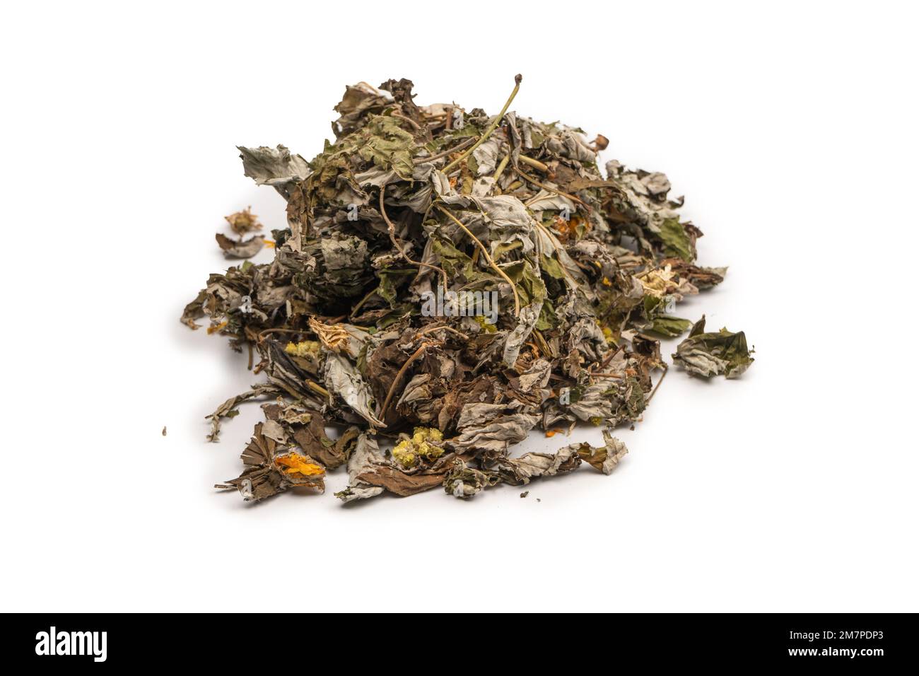 Trockene Teeblätter und trockene Früchte isoliert auf weißem Hintergrund. Stockfoto