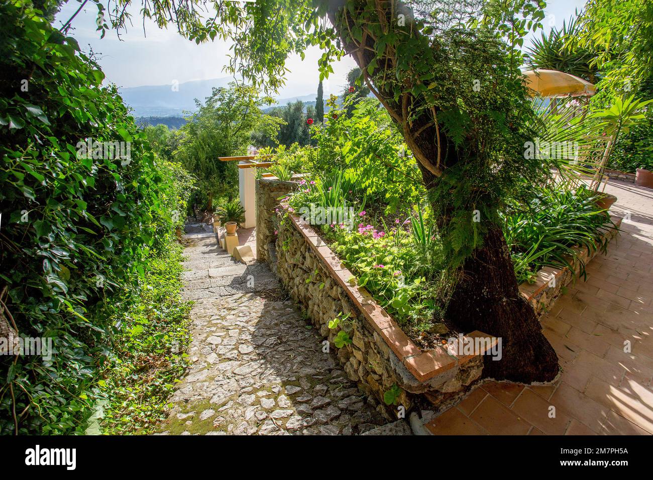 Tolle Gartenterrassen und Villa Casa Cuseni - oxalis bowiei, Rosen, Holz und Treppen. Schöner Tag im Spätsommer Stockfoto