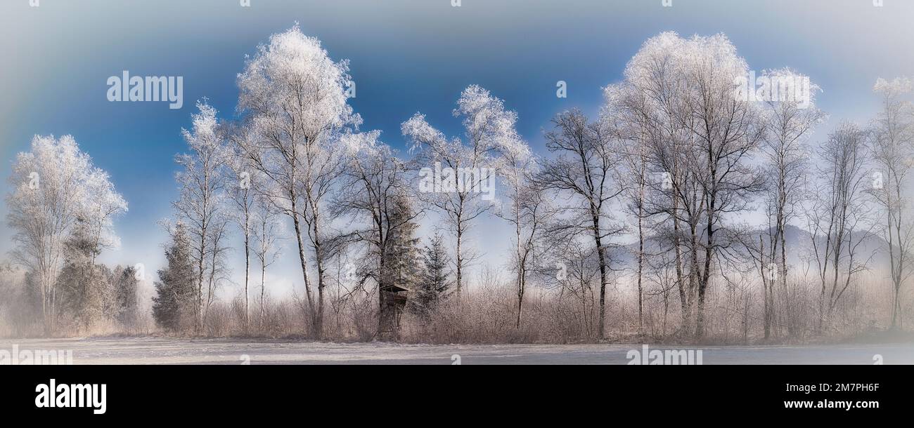 FOTOGRAFIEN: Winterliches Loisach Moor in der Nähe von Bichl mit Stallauer Eck im Hintergrund, Oberbayern, Deutschland Stockfoto
