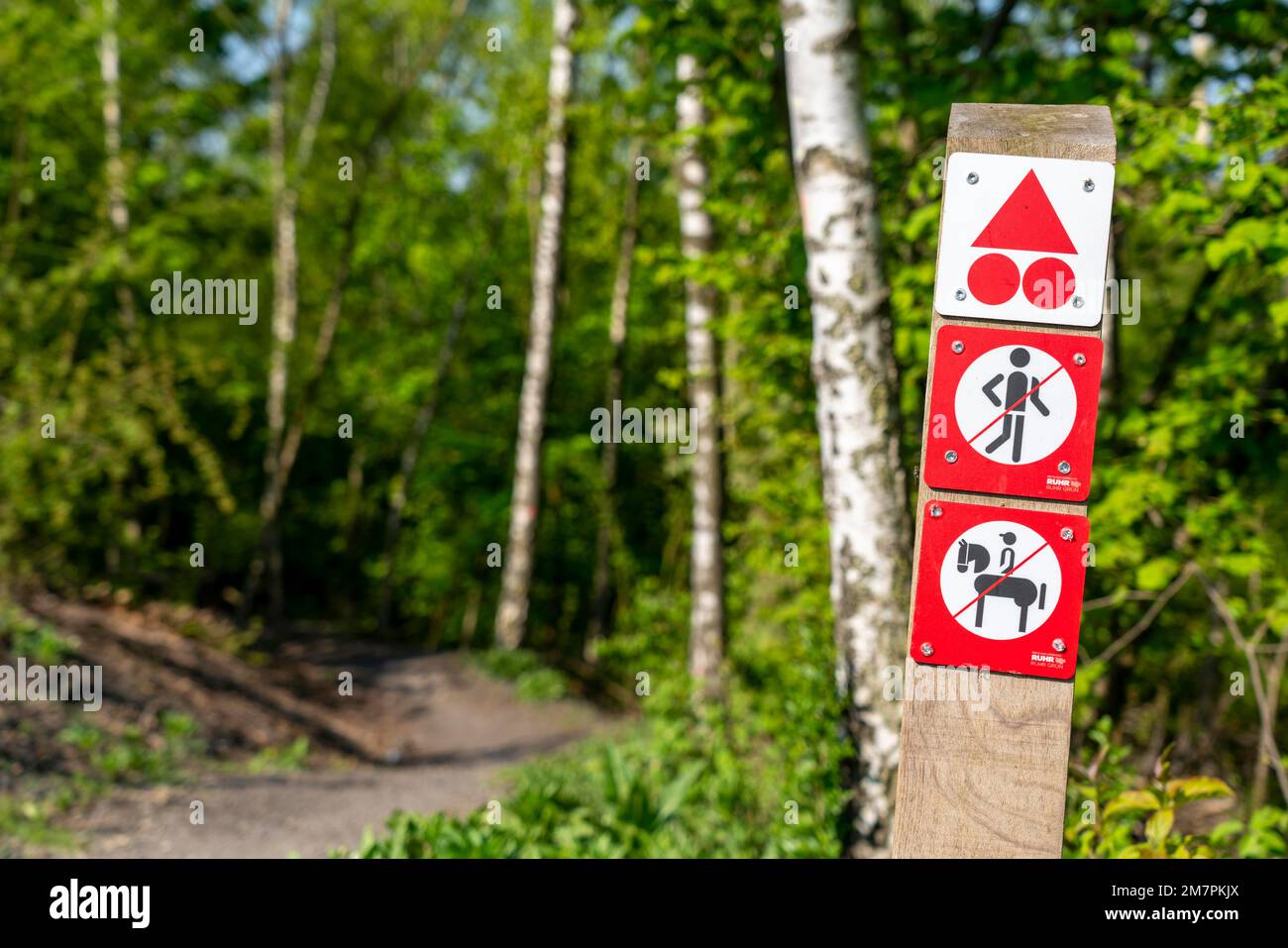 Wegweiser auf dem Brammentrail, Mountainbike-Pfad auf der Schurenbach-Slagheap, Essen NRW, Deutschland, Stockfoto