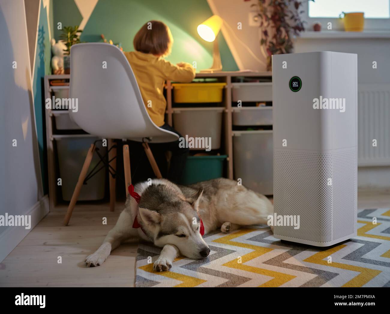 Luftreiniger im Kinderzimmer mit einem Allergiekind und einem Hund Stockfoto