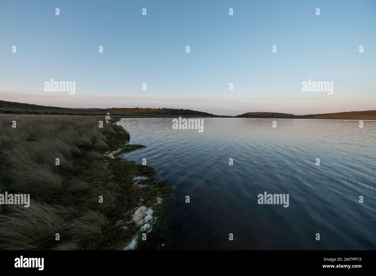 Dawn Patrol ALT Pine Lagoon Tasmania. Stockfoto