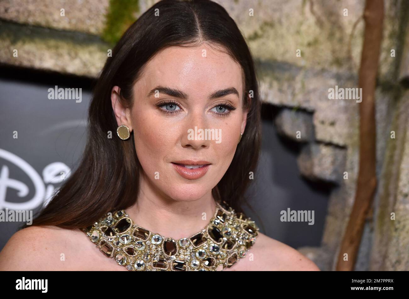 Lyndon Smith arrives at a red carpet event for "National Treasure: Edge of History," Monday, Dec. 5, 2022, at El Capitan Theatre in Los Angeles. (Photo by Jordan Strauss/Invision/AP) Stockfoto