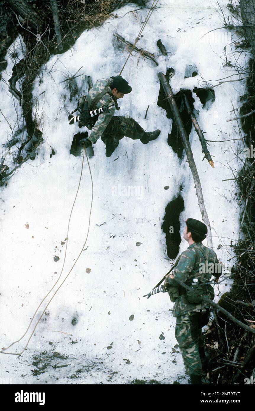 Green Beret-Truppen, STAFFEL SGT. John J. Sanchez und SGT. Rodney Allen, von links nach rechts, Seilen Sie sich während der Übung Brim Frost '81 einen eisigen Berg hinab. Die Green Beret-Truppen sind der Co. Zugeteilt C, 2. Mrd. $, 7. Spezialeinheiten. Betreff Betrieb/Serie: BRIM FROST '81 Basis: Clear Creek Bundesstaat: Alaska (AK) Land: Vereinigte Staaten von Amerika (USA) Stockfoto
