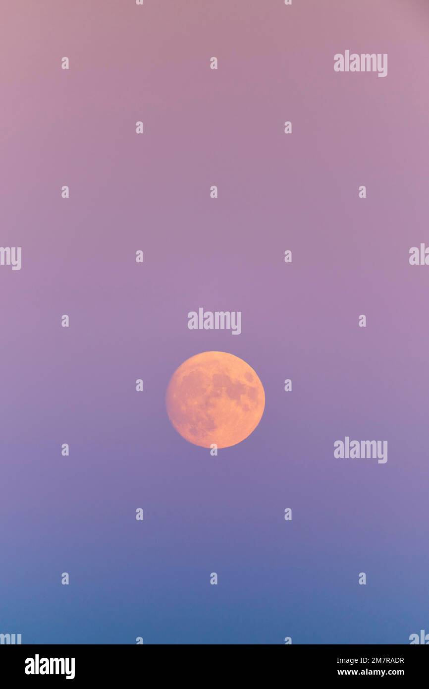 Vollmond, August, Sommer, Dämmerung, Hohneck, La Bresse, Vogesen, Elsass-Lothringen, Frankreich Stockfoto