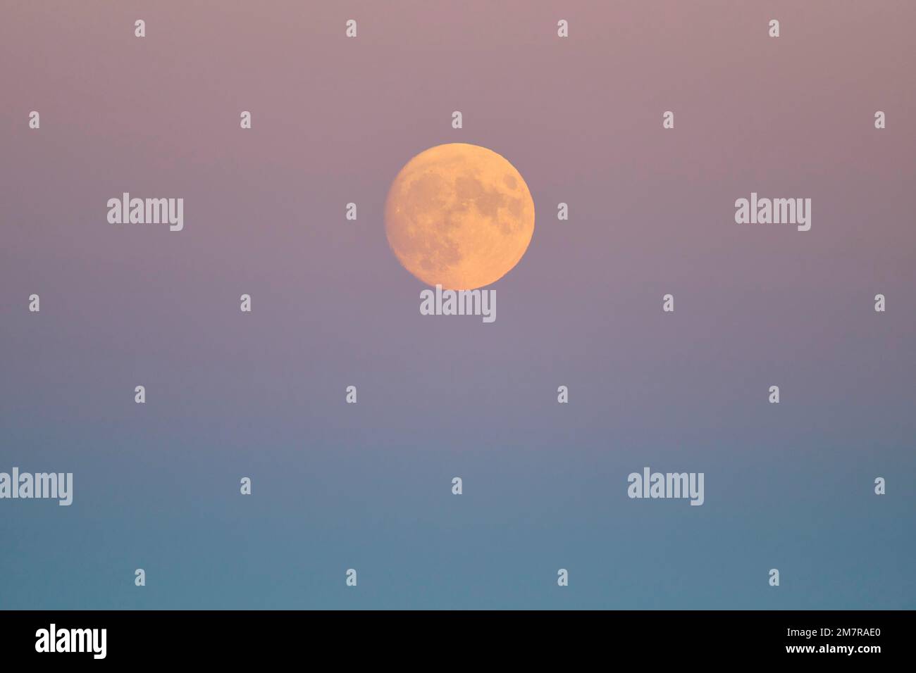 Vollmond, August, Sommer, Dämmerung, Hohneck, La Bresse, Vogesen, Elsass-Lothringen, Frankreich, Europa Stockfoto