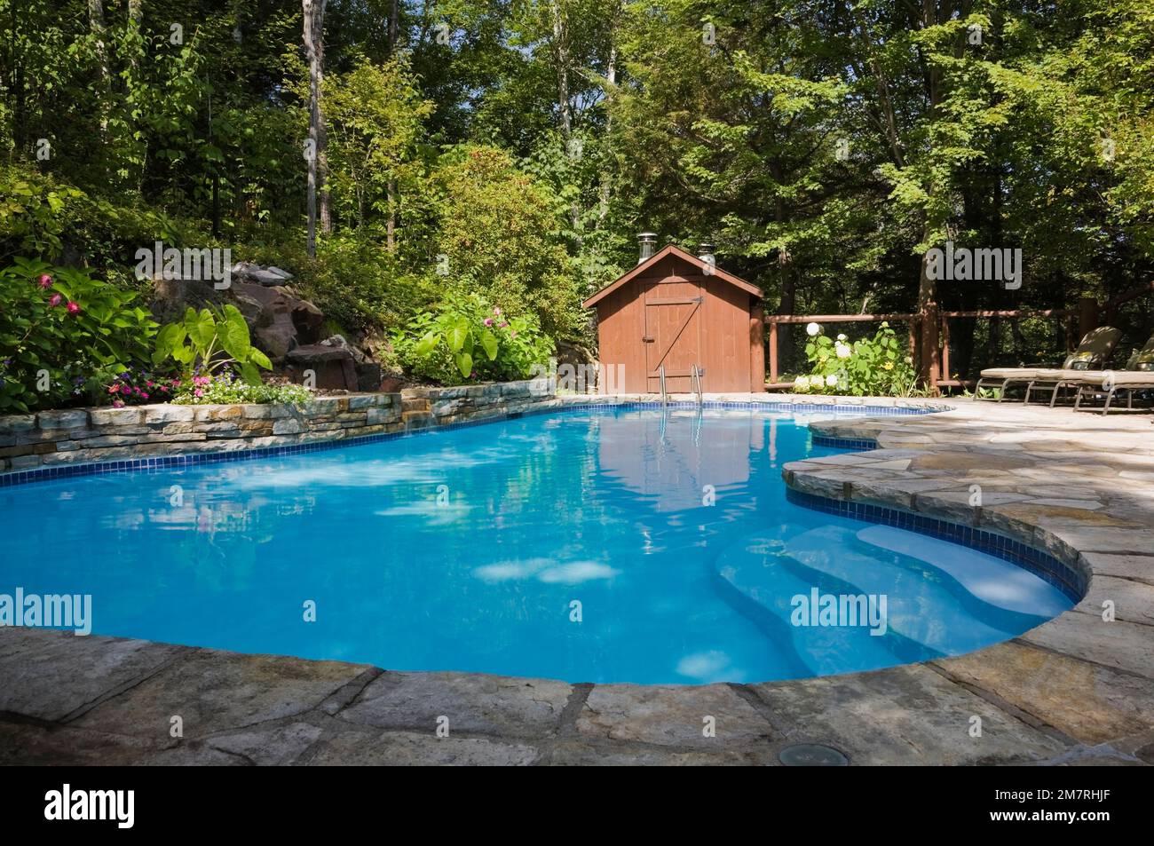 Im Erdgeschoss gelegener Swimmingpool mit Wasserfall und Steinplatten-Terrasse im landschaftlich gestalteten Hinterhof im Sommer. Stockfoto