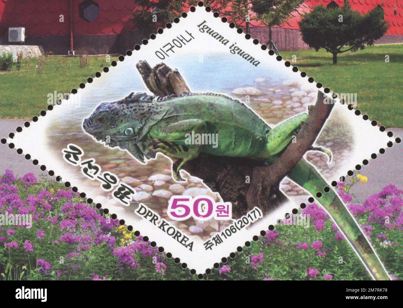 2017 Nordkorea stam Set. Pjöngjang Central ZOO. Reptilienhaus, grüner Leguan, Iguana-Leguan Stockfoto