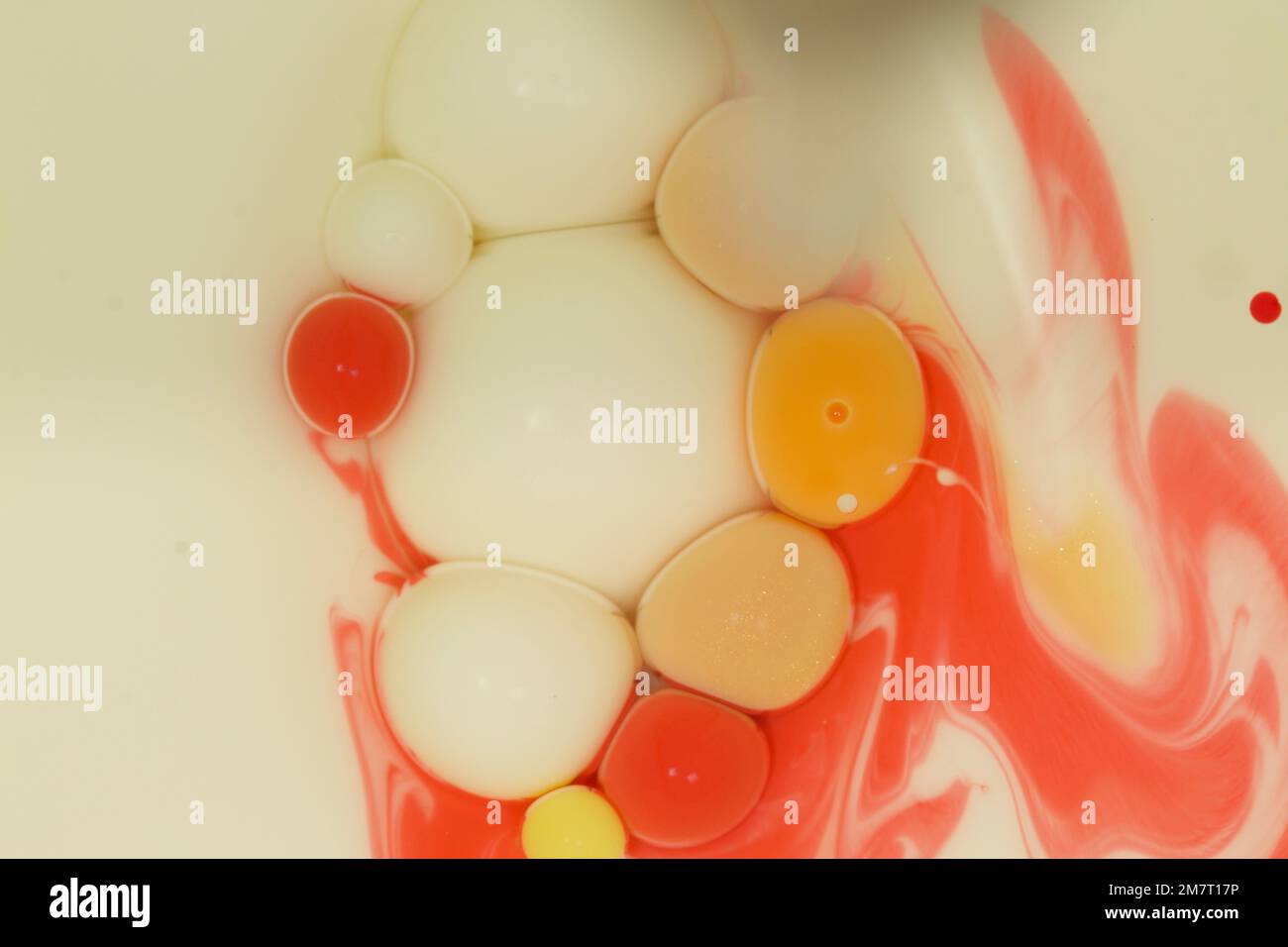 Makrokunst mit der Interaktion von verschiedenen Flüssigkeitsdichten wie Milch, Öl und Farbe und einem Hauch Spülmittel! Stockfoto