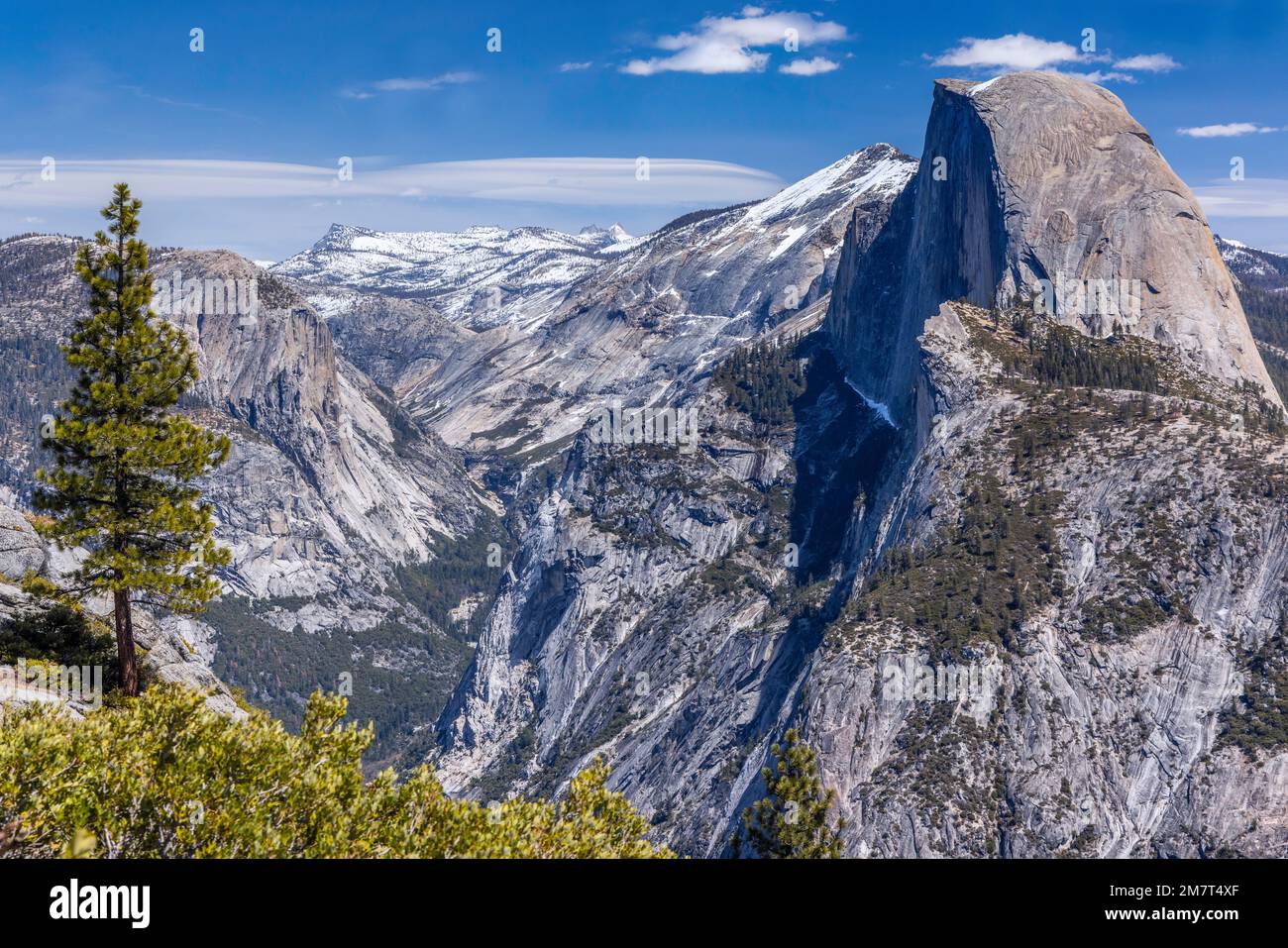 Yosemite Valley Landschaft vom Glacier Point, wo eine einsame Kiefer das Profil des Half Dome überblickt. Stockfoto