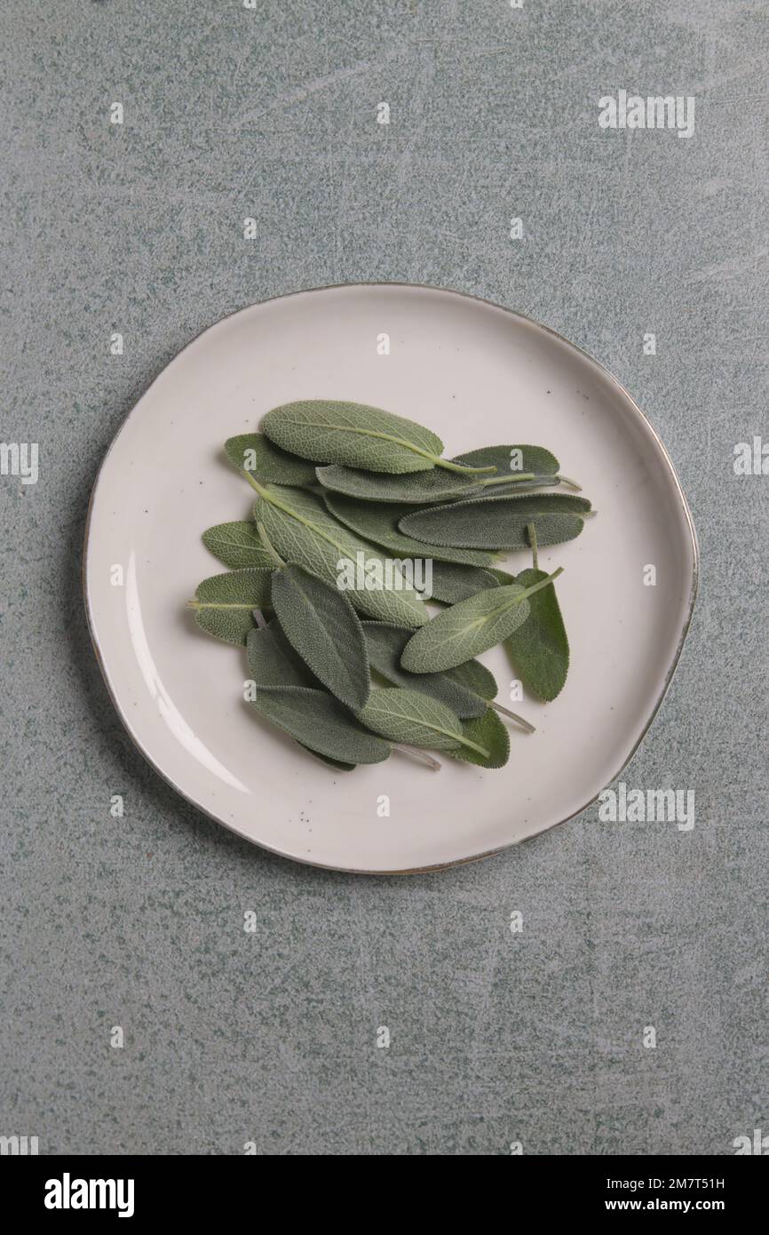 Frisch geerntete Salbei-Blätter auf weißem Porzellanteller. Stockfoto