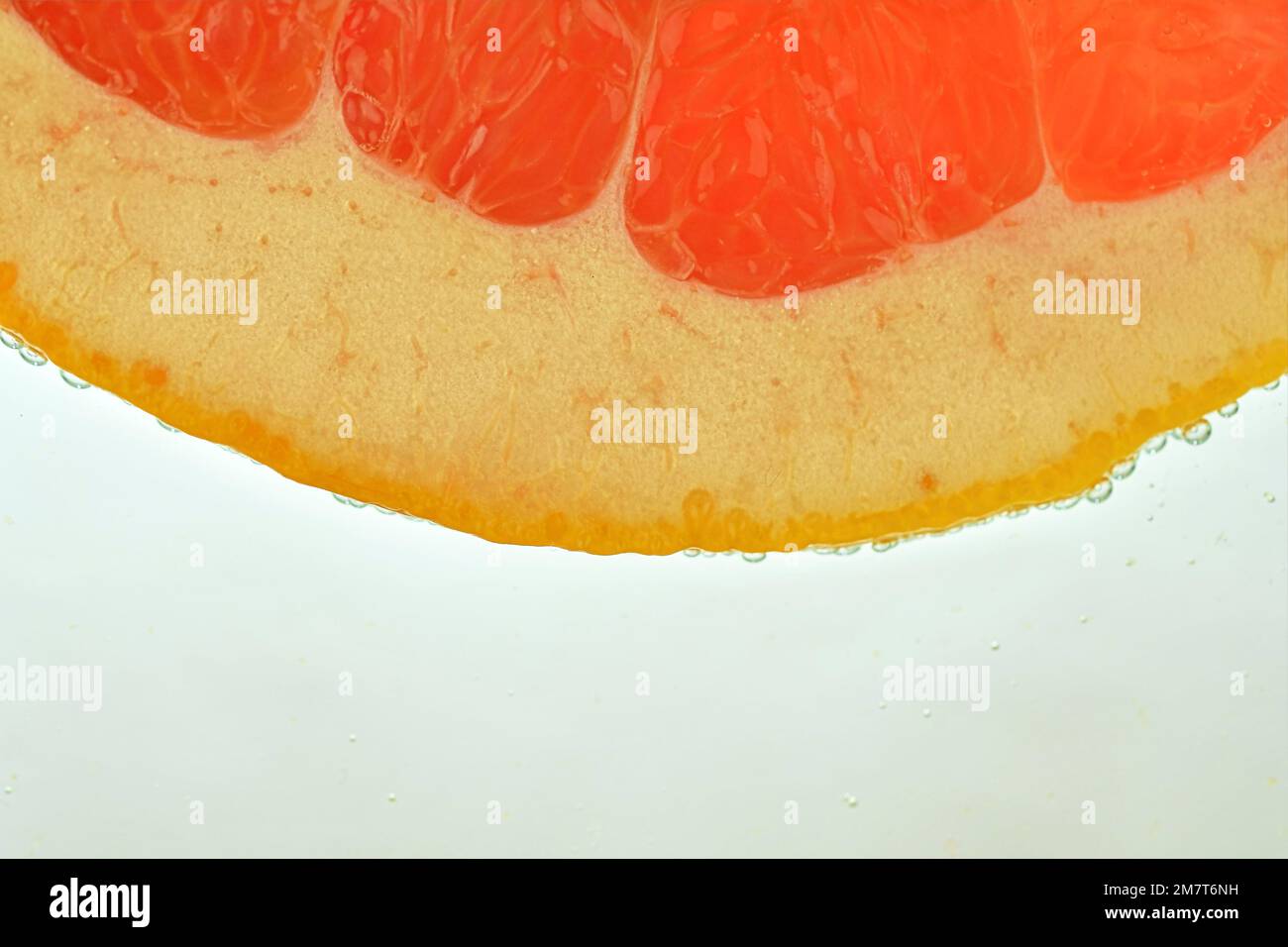 Nahaufnahme der roten Grapefruitscheibe im Wasserhintergrund. Konsistenz des kühlenden Fruchtgetränks mit Makroblasen an der Glaswand. Flaches Design. Stockfoto